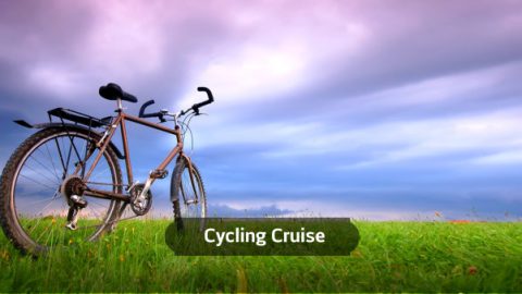 Cycling cruise Loire